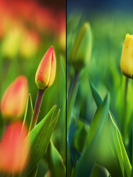 , фотограф Денис Клюев