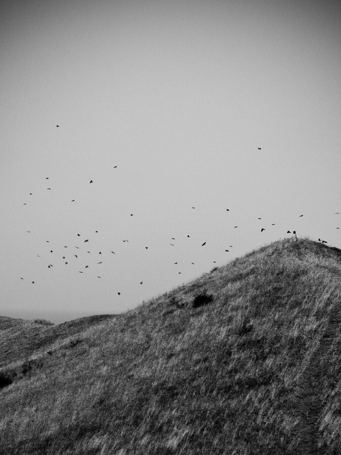 , фотограф Денис Клюев