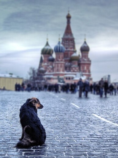 Тоска, фотограф Денис Клюев