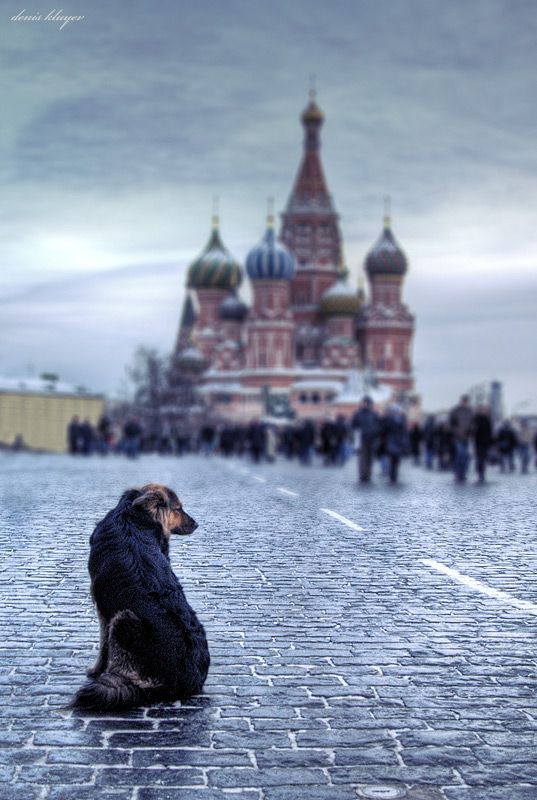 Тоска, фотограф Денис Клюев