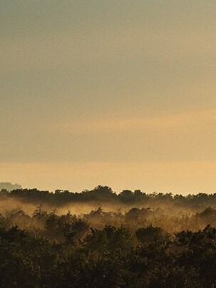 After the rain, фотограф Денис Клюев