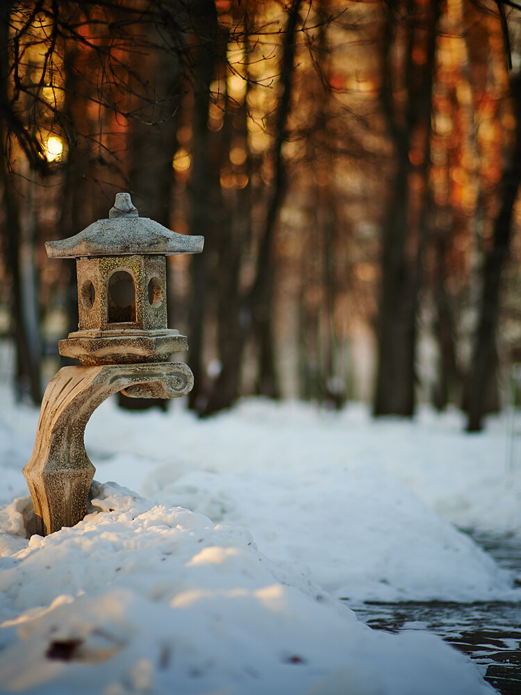 _DSC0486_c1v7, фотограф Денис Клюев