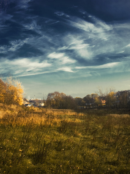 DSC_0208, фотограф Денис Клюев