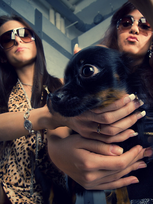 DSC_0377_1, фотограф Денис Клюев