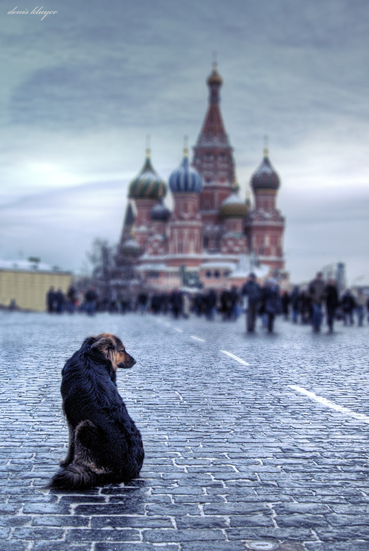 Heavy Heart, фотограф Денис Клюев