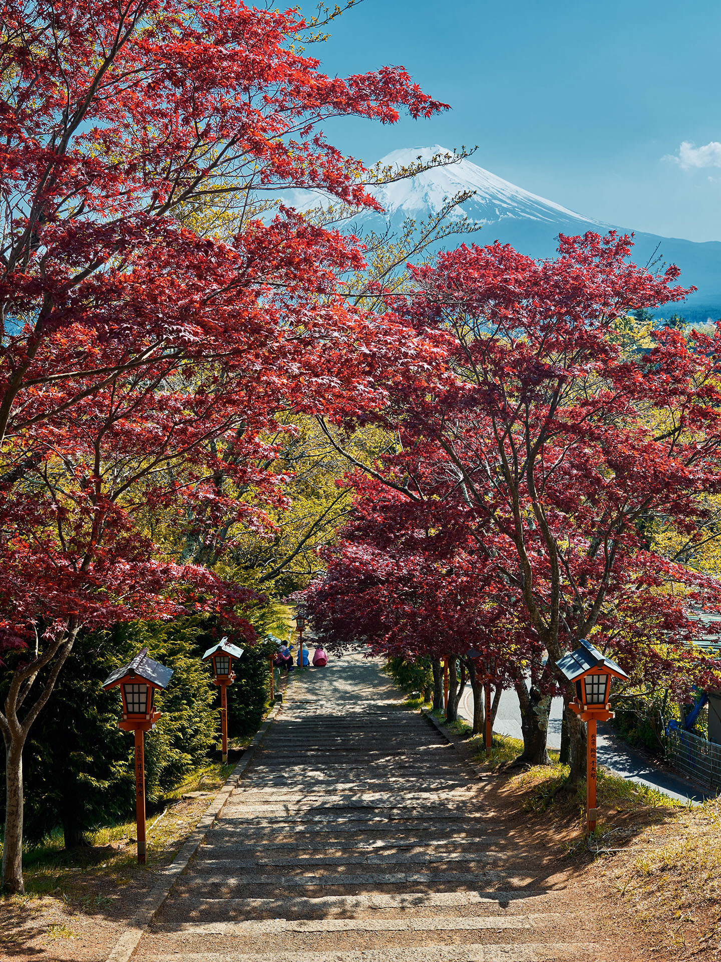 DSC3894 HiRes Portait